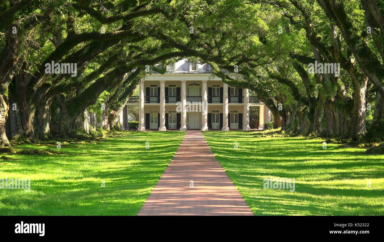 Von Bäumen gesäumten Eingang Eichenallee southern Plantation House in Vacherie, Louisiana Stockfoto