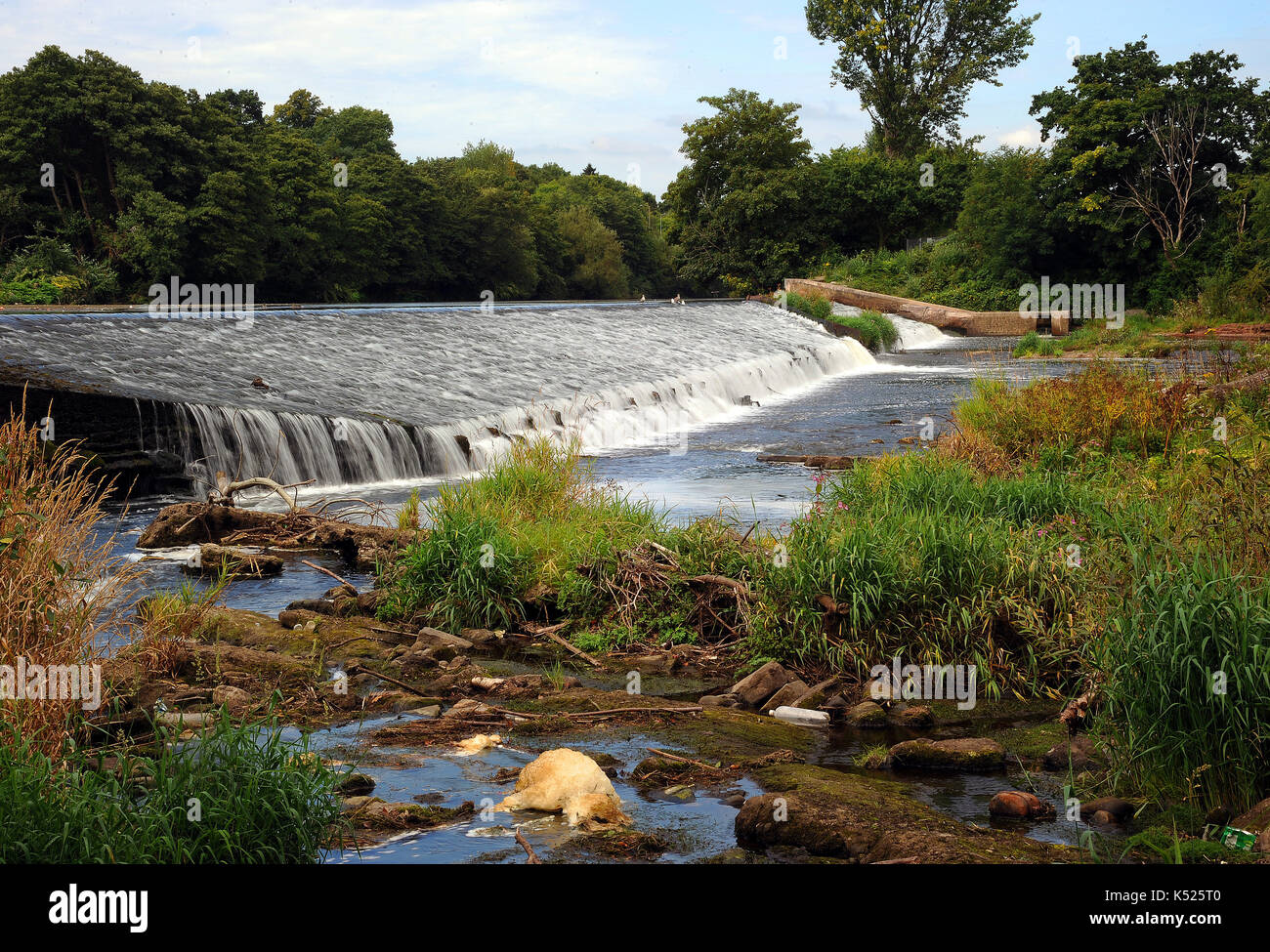 Llandaff Wehr. Fluss Taff. Stockfoto