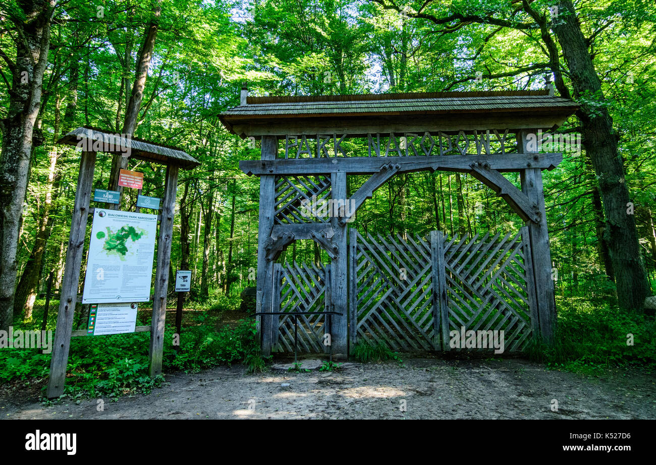 Das Eingangstor zu den streng geschützten Bereich von Bialowieza Nationalpark, Polen. Juli, 2017. Stockfoto