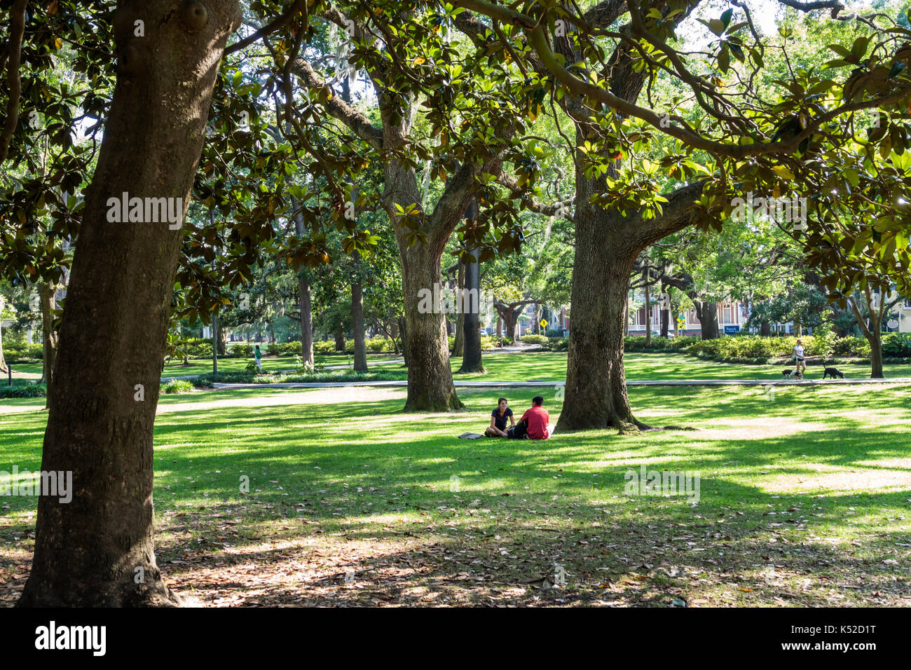 Savannah Georgia, historisches Viertel, Forsyth Park, Bäume, Rasen, USA US Vereinigte Staaten Amerika Nordamerika, GA170512091 Stockfoto