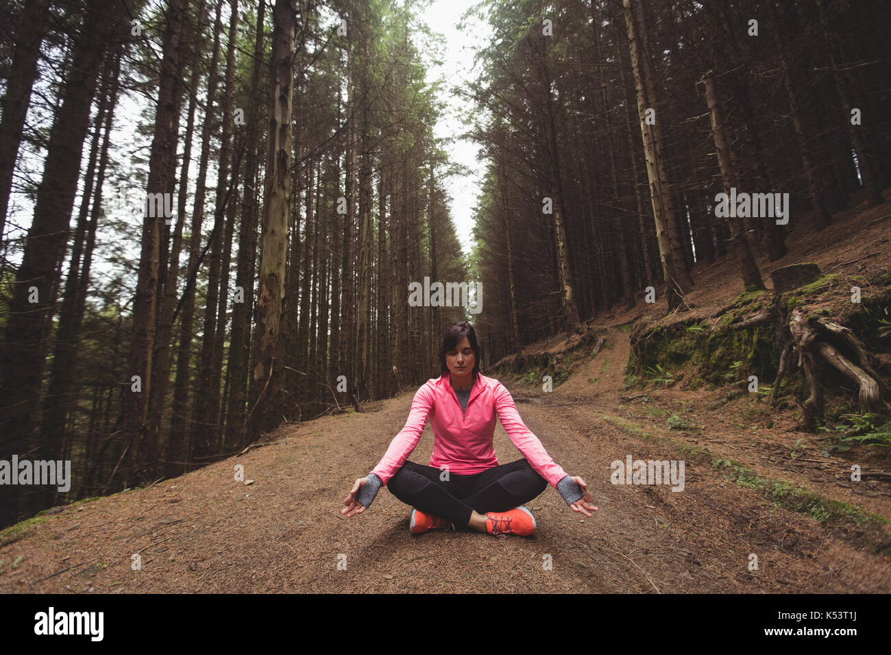 Frau durchführen Yoga im Wald an einem sonnigen Tag Stockfoto