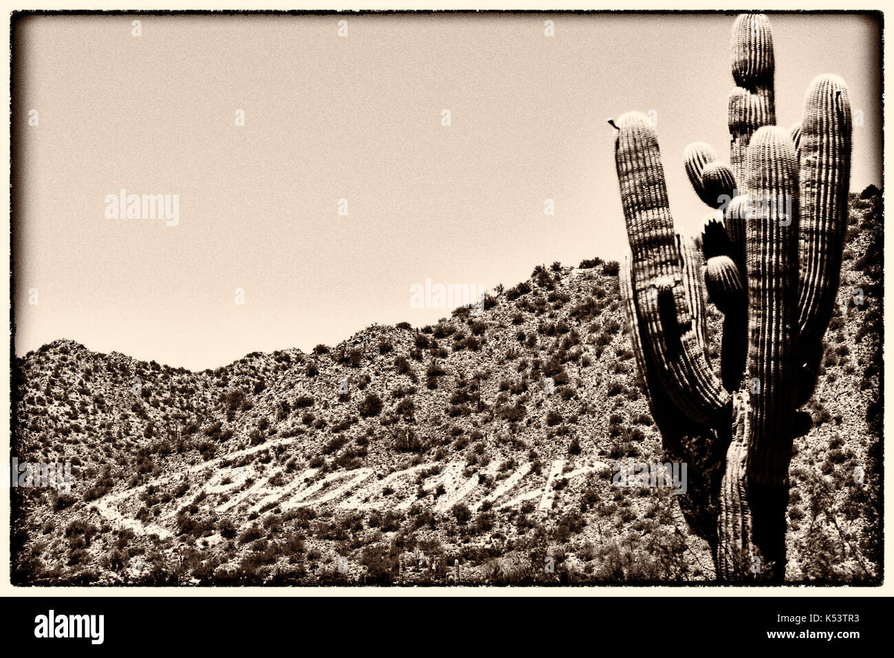 Historische Luftfahrt Pfeil in der Wüste, Mesa, Arizona Stockfoto