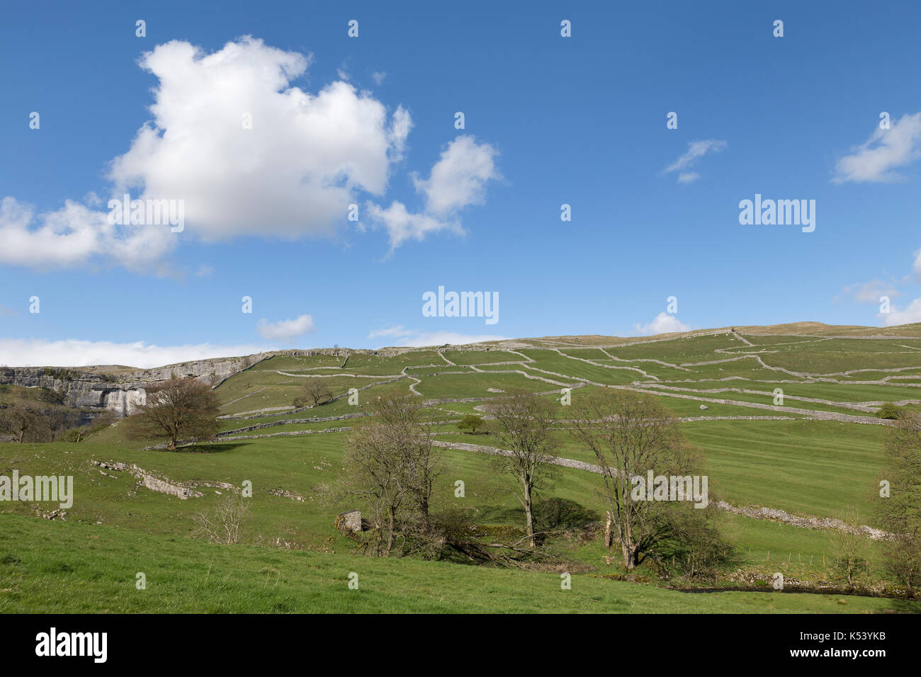 Malham Cove (links im Bild) und angrenzenden alten Feldern, die durch Trockenmauern in den Yorkshire Dales, England getrennt Stockfoto