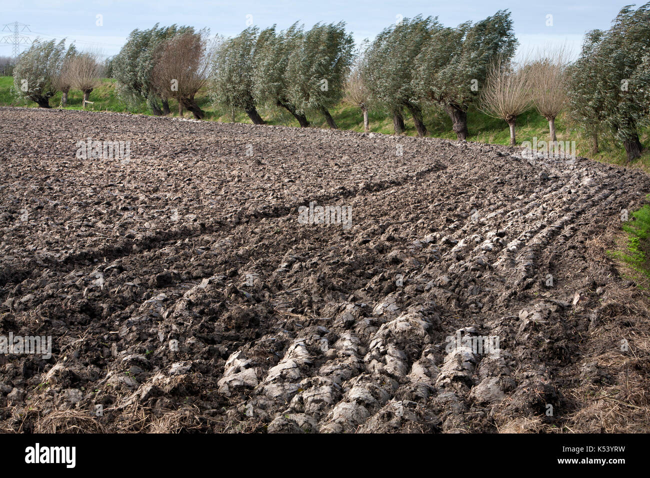 Gepflügten Feldes und Weiden im Wind Stockfoto