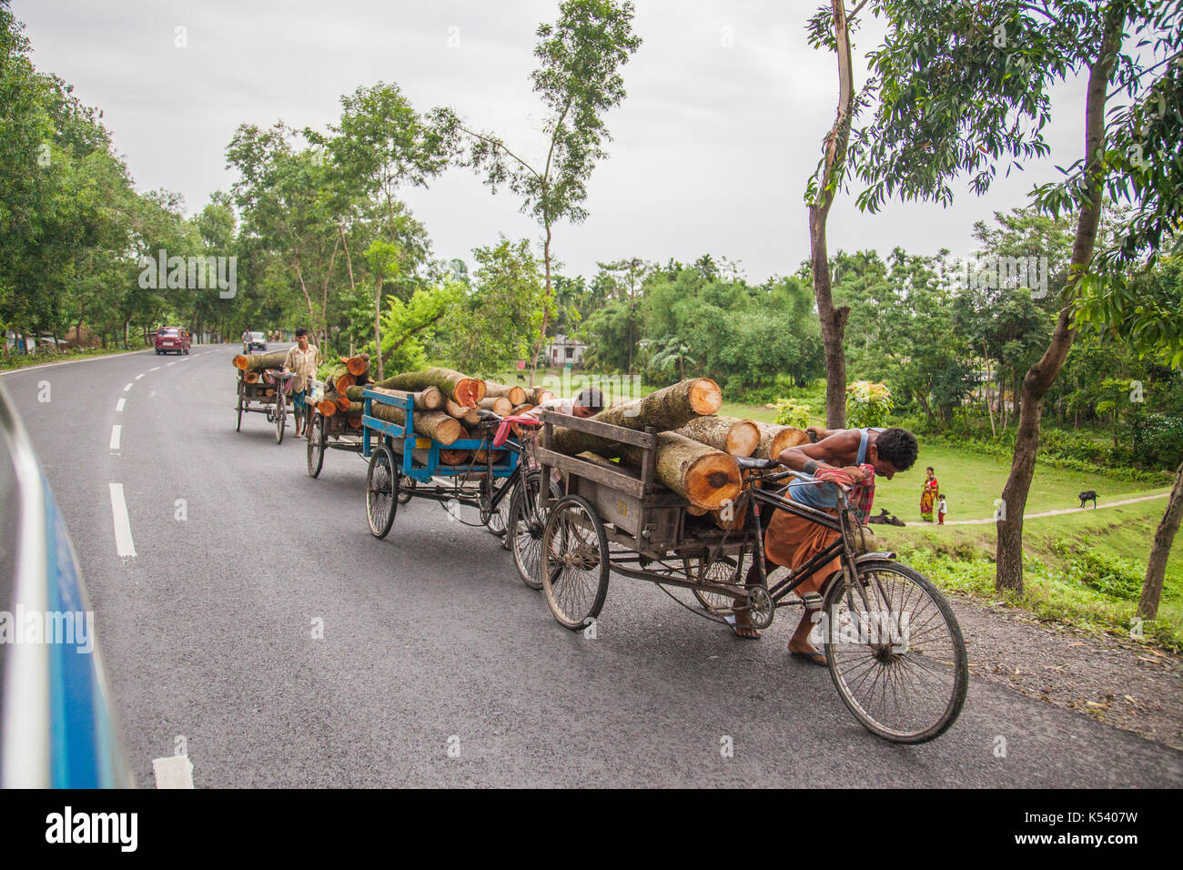 Männer ziehen einen Warenkorb mit Baumstämmen, Bagdogra, Indien Stockfoto