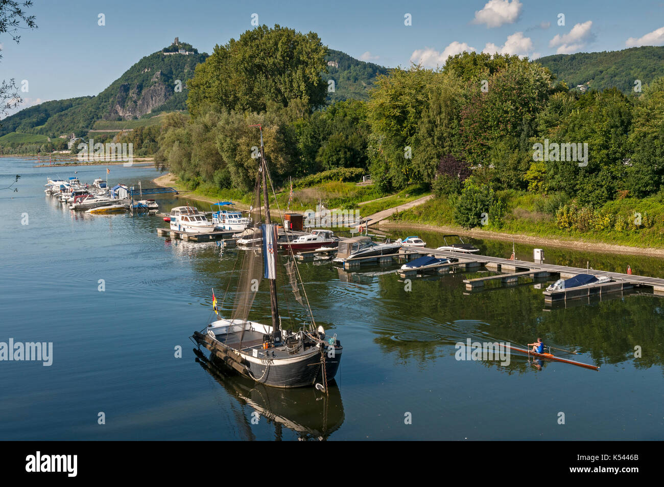 Drachenfels von der Insel Grafenwerth am Rhein, Bad Honnef, NRW, Deutschland. Stockfoto