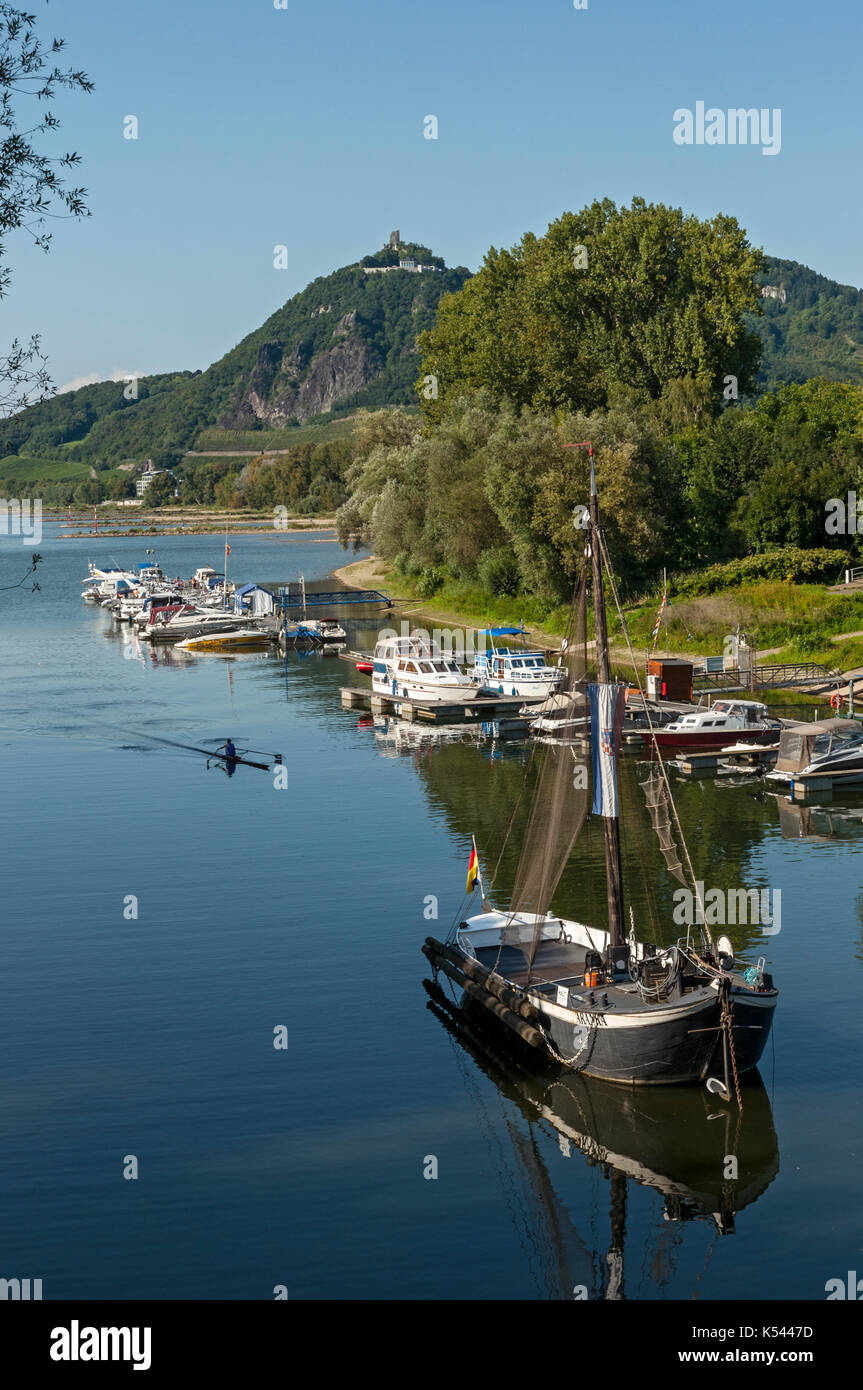 Drachenfels von der Insel Grafenwerth am Rhein, Bad Honnef, NRW, Deutschland. Stockfoto