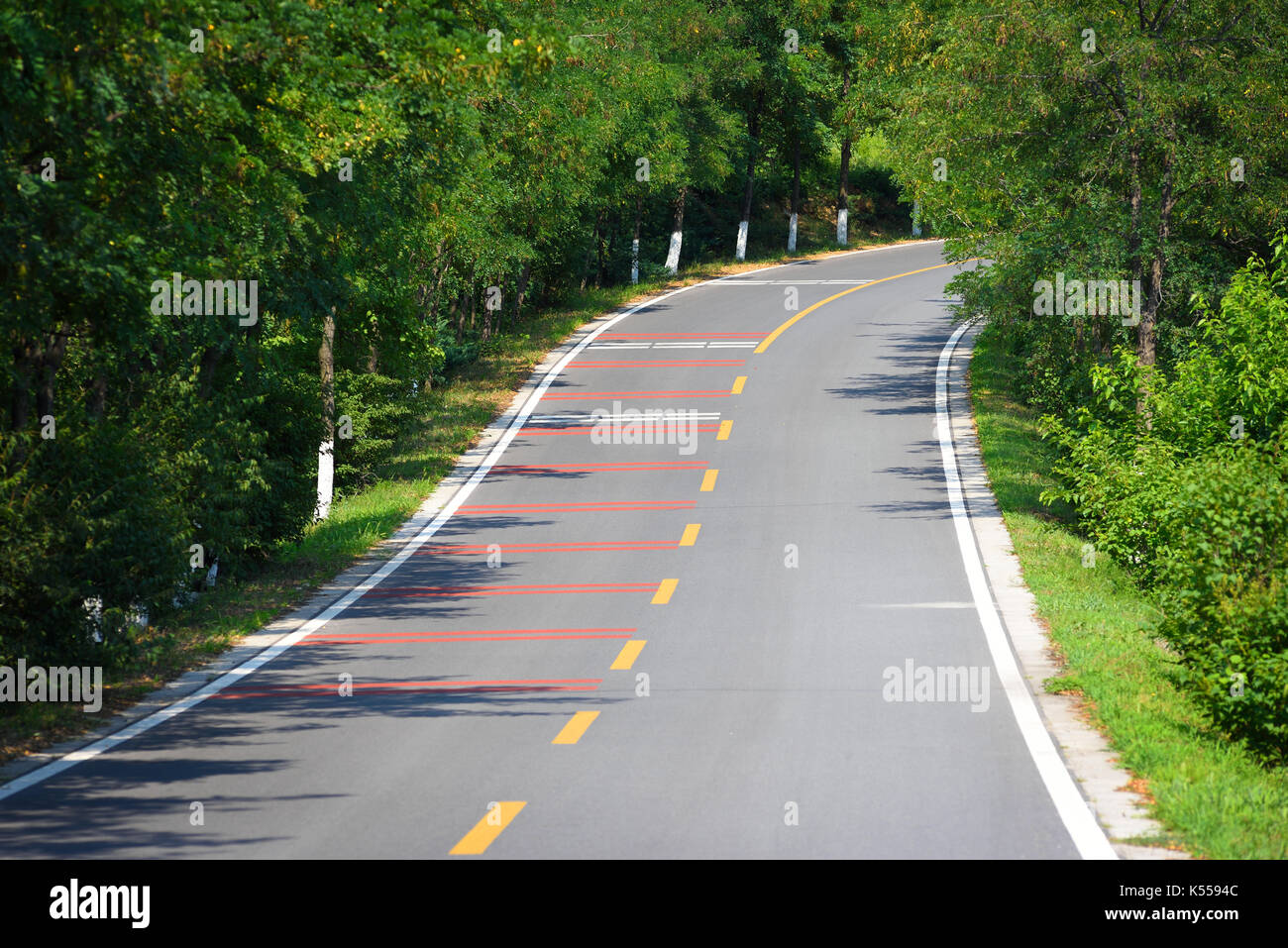 Leere asphaltierte Straße in den Wald. Stockfoto