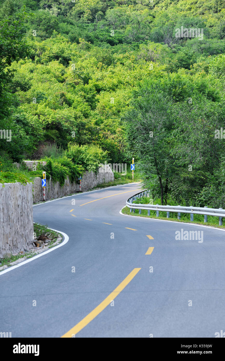 Leere asphaltierte Straße in den Wald. Stockfoto