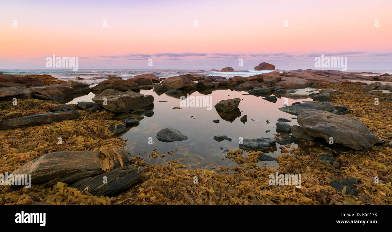 Algen, die sich um einen Rock am pool Redgate Beach bei Sonnenaufgang. Leeuwin-Naturaliste Nationalpark, Margaret River, Western Australien Stockfoto