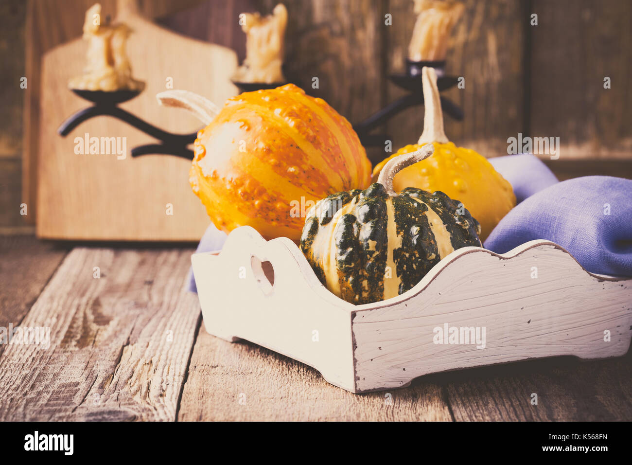 Herbst gemütlich zu Hause Dekorationen. Stillleben mit Miniatur Kürbisse auf Holz rustikale Hintergrund Stockfoto