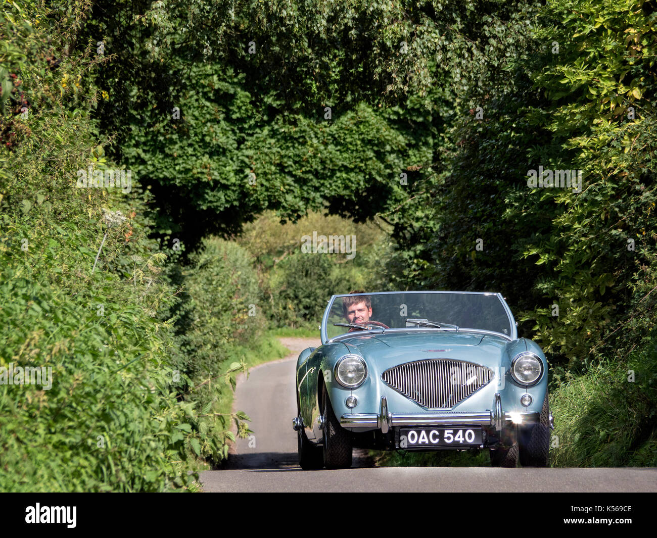 Austin Healey 100 M während der Fahrt auf einem englischen Country Road Stockfoto