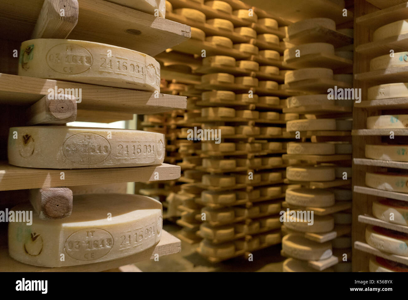 Valtellina Casera Käse aus Milch an Molkereien in der Provinz Sondrio Lombardei Italien Europa produziert Stockfoto
