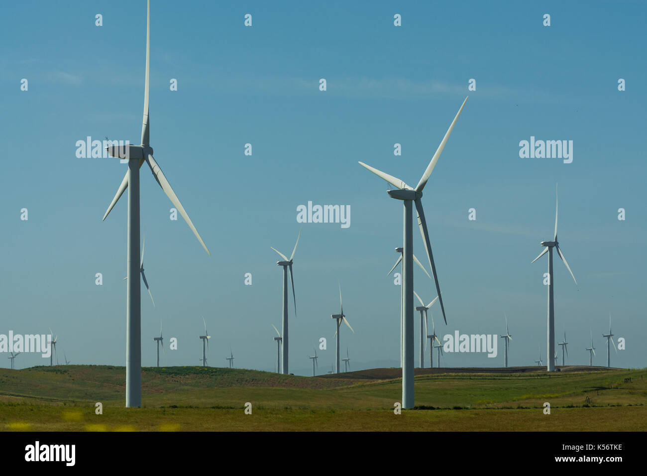 Windenergieanlagen in der Nähe von Rio Vista, Central Valley, CA Stockfoto