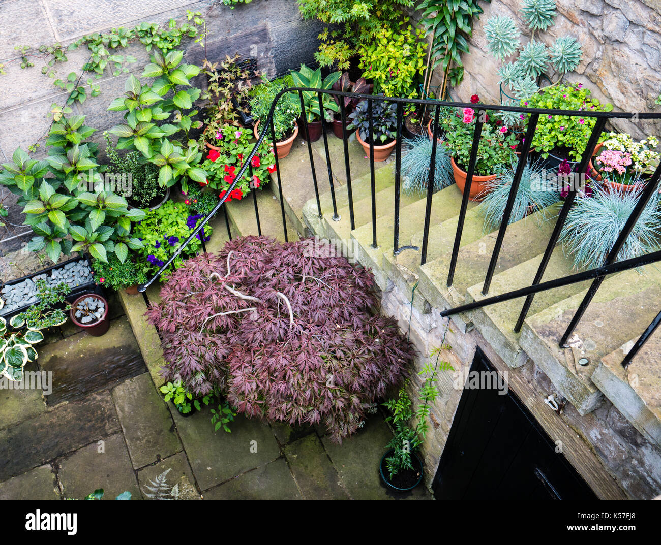 Small Garden, New Town, Edinburgh, Schottland, Großbritannien, GB. Stockfoto