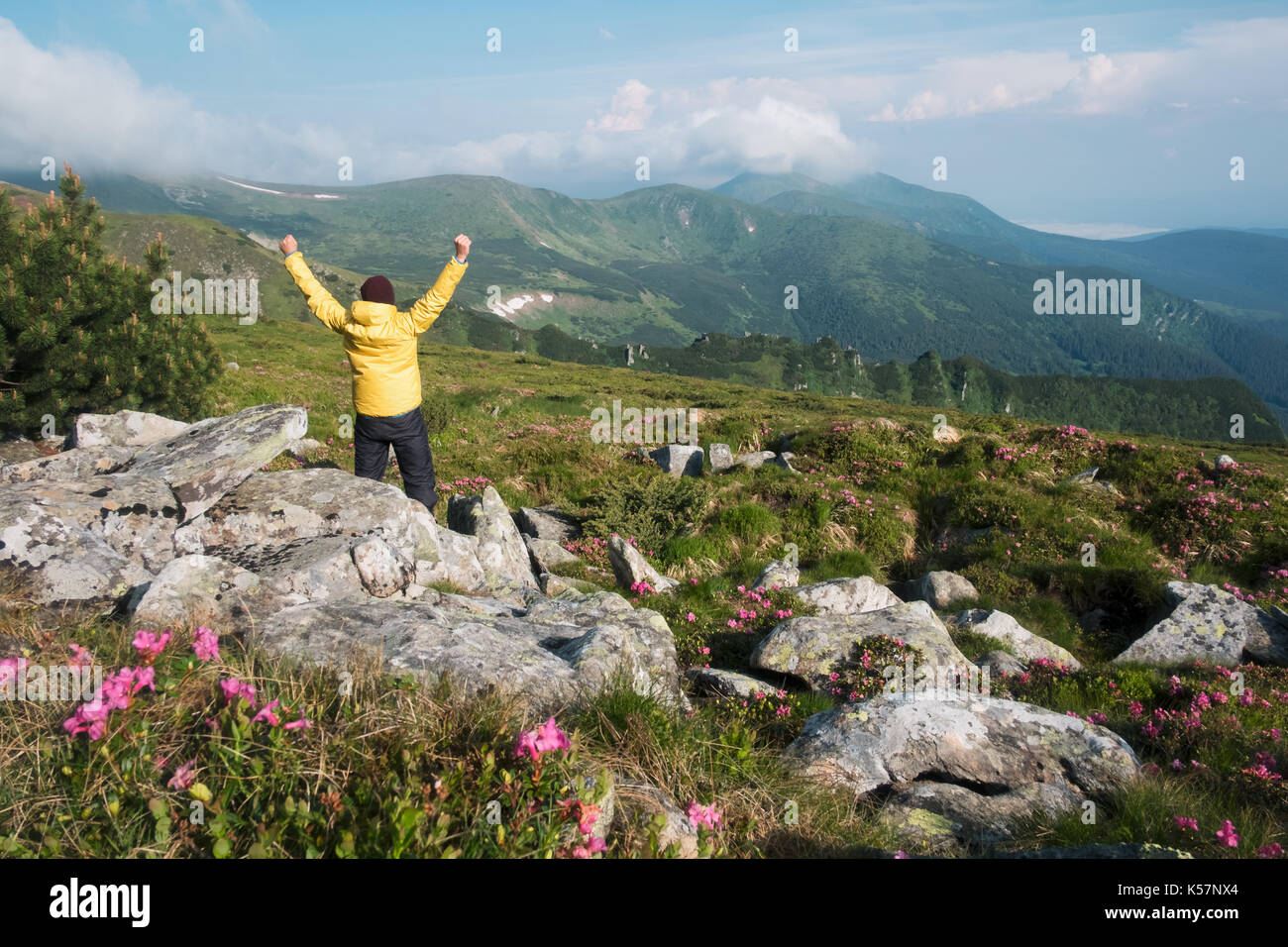 Allein Tourist in gelber Jacke mit Händen bis auf hohen Bergen. Stockfoto