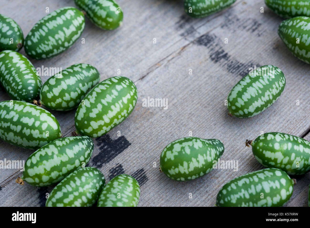 Cucamelon Obst, auch bekannt als mexikanische Cornichons, Mexikanische saure Gurken, oder Melothria Scabra Stockfoto