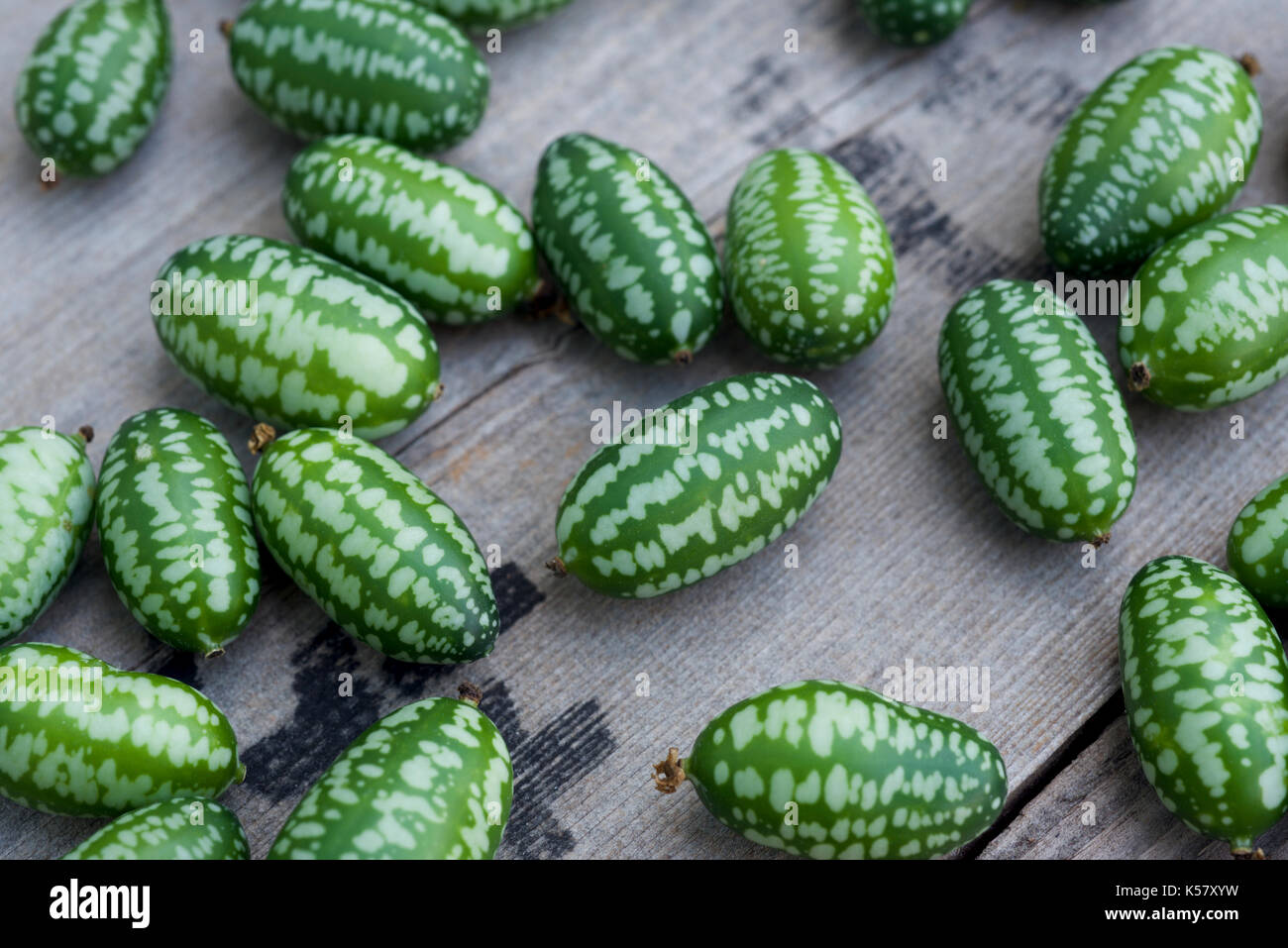Cucamelon Obst, auch bekannt als mexikanische Cornichons, Mexikanische saure Gurken, oder Melothria Scabra Stockfoto