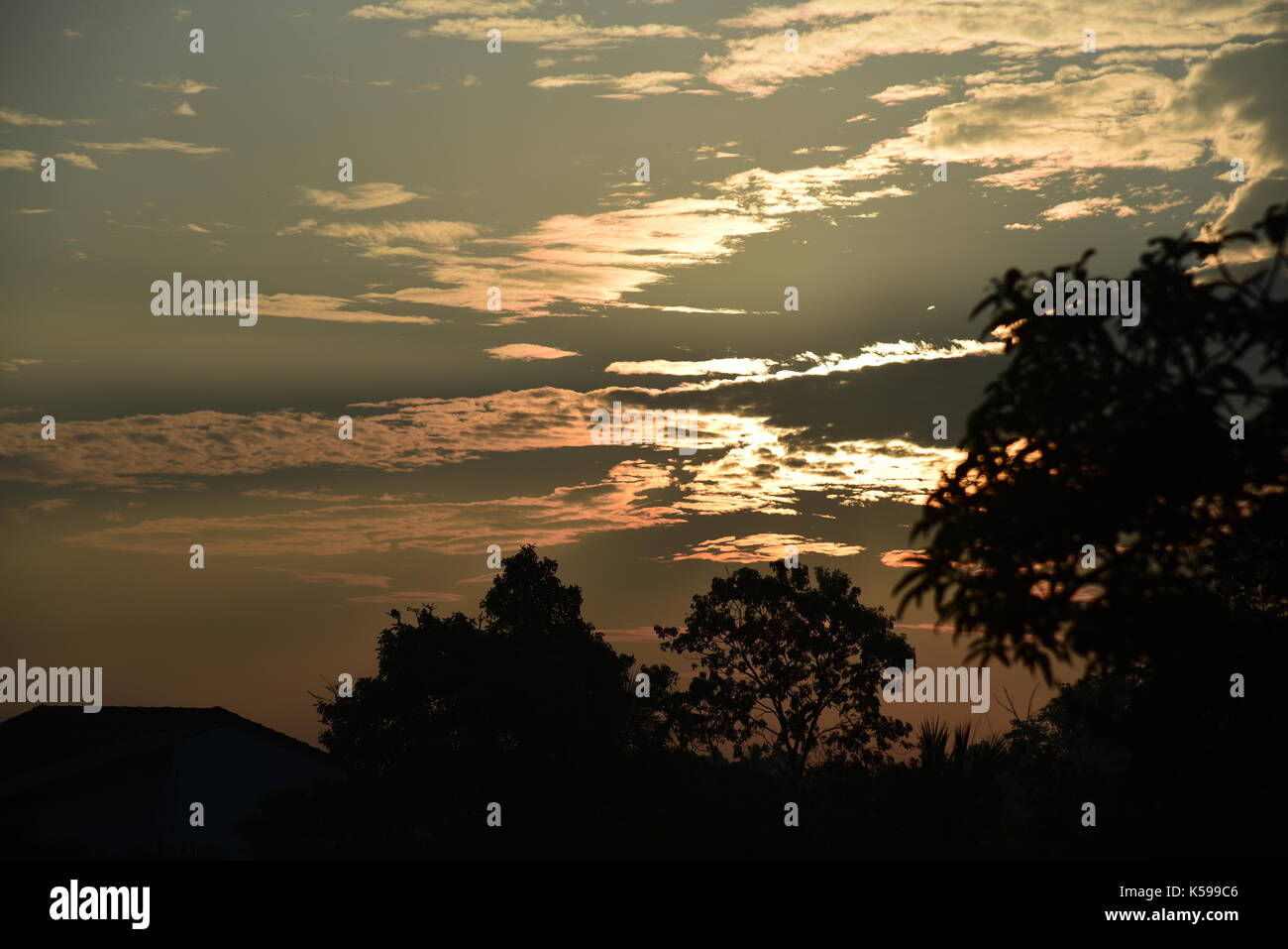 Schöner morgen. Stockfoto