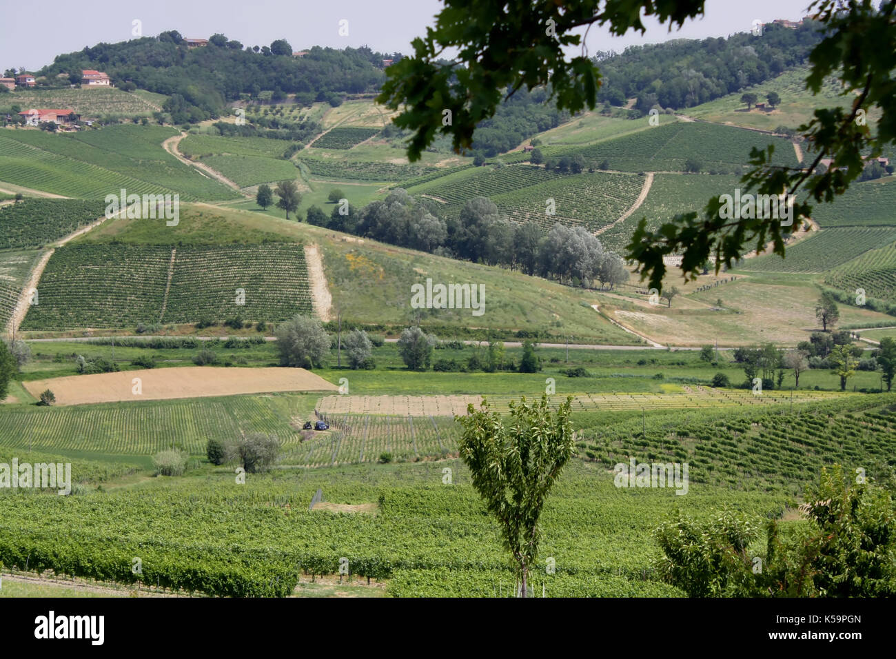 Panorama auf den Hügeln des Monferrato (1) Stockfoto