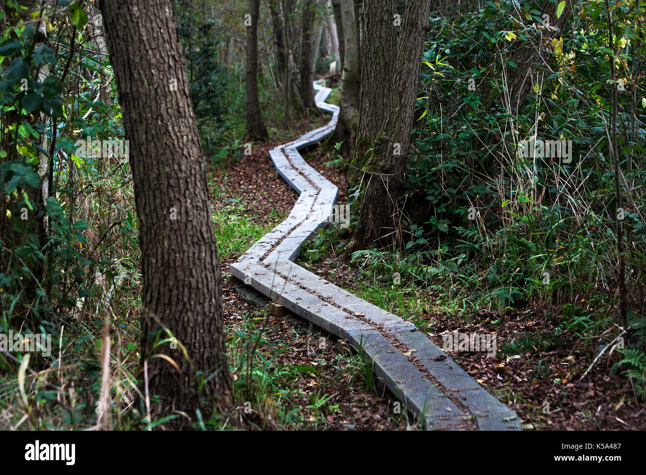 Auf dem Weg nach vorn Stockfoto