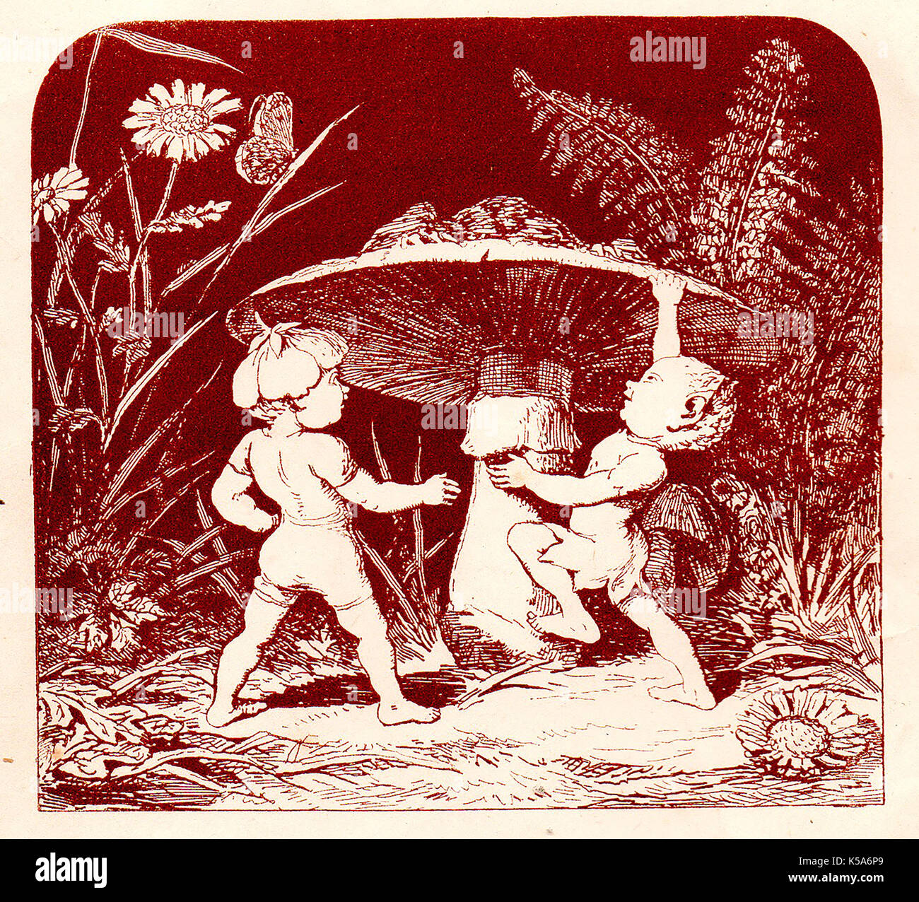Elfen und ein fliegenpilz - vom Buch der Viktorianischen Kinder "Merry Elfen 24' - Illustrationen von C.O. Murray Stockfoto