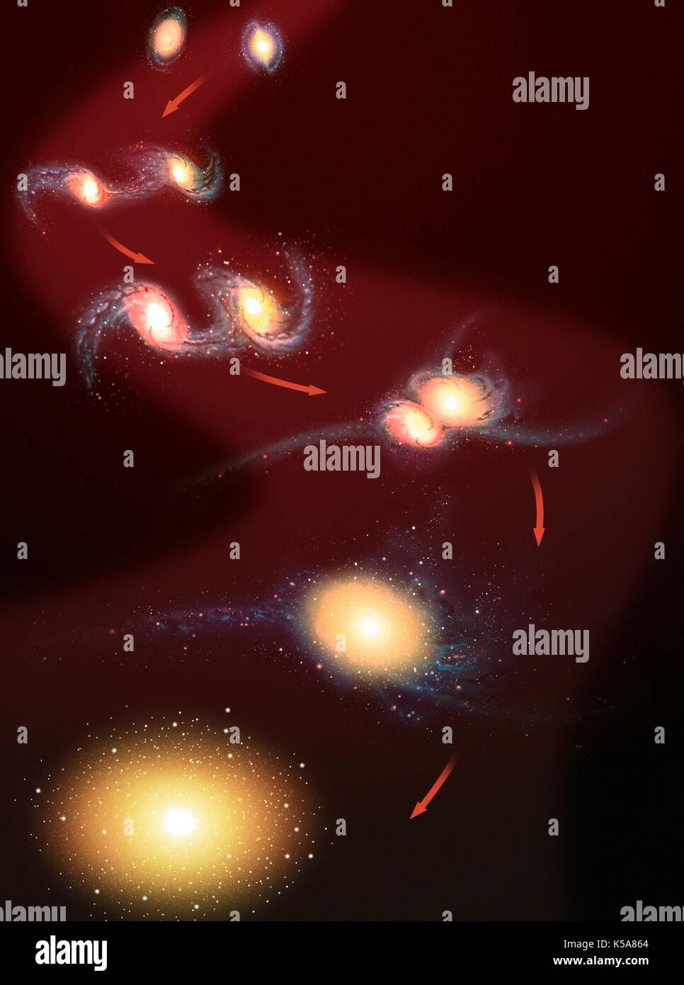 Abbildung: die Verschmelzung von zwei kleine Galaxien in einem größeren. Die Sequenz beginnt mit zwei Spiralgalaxien. Wie Sie nähern sich einander, Gezeitenkräfte ins Spiel kommen, beginnen die Galaxien zu verzerren und die Ausläufer der Sterne weg von ihnen ziehen. Im Laufe der Zeit, die Kerne der zwei Galaxien verschmelzen, während die Streamer zurück in gezogen werden eine größere, elliptische Galaxie zu bilden. Stockfoto