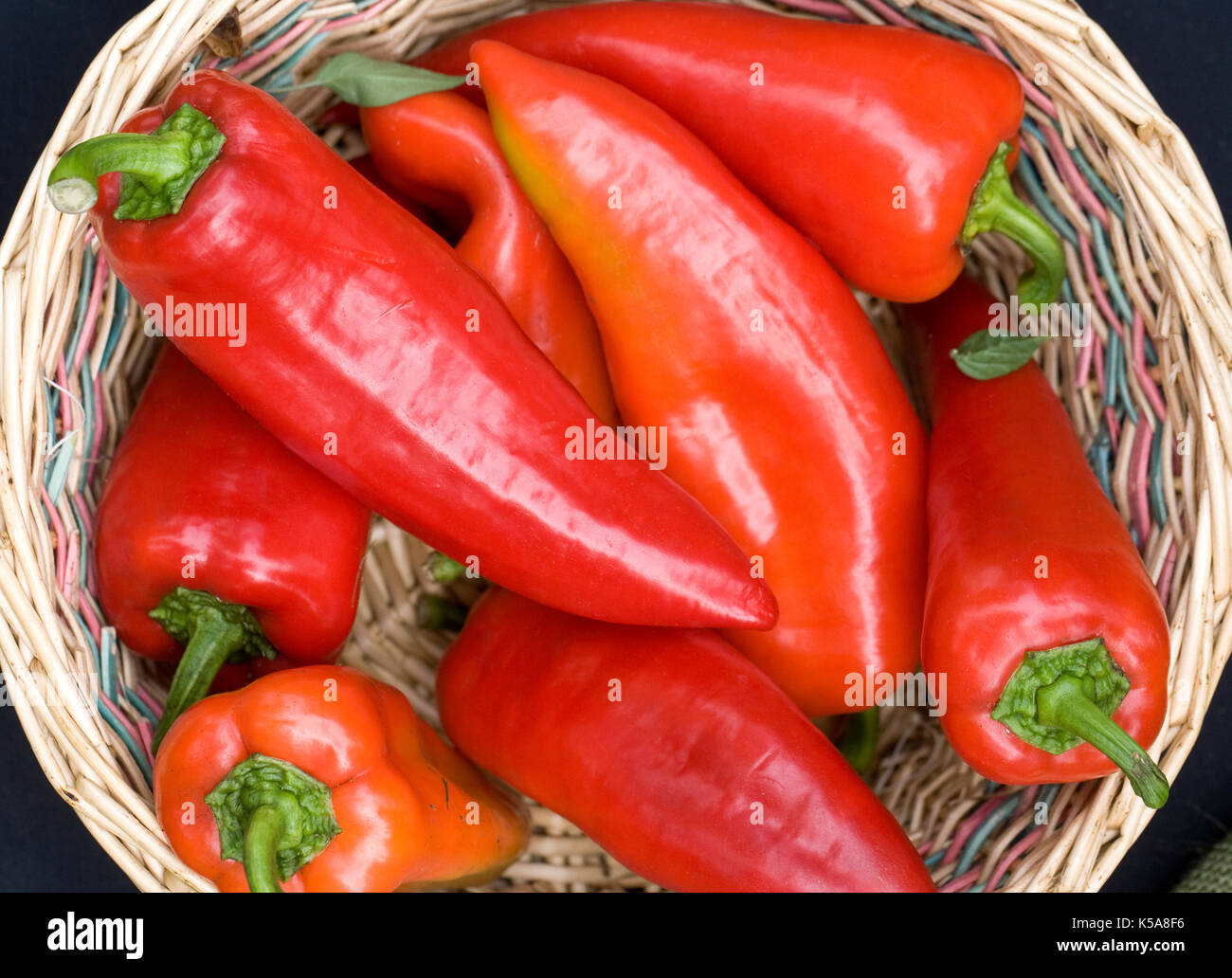 Capsicum annuum. Paprika 'Beja' in einem Korb. Stockfoto
