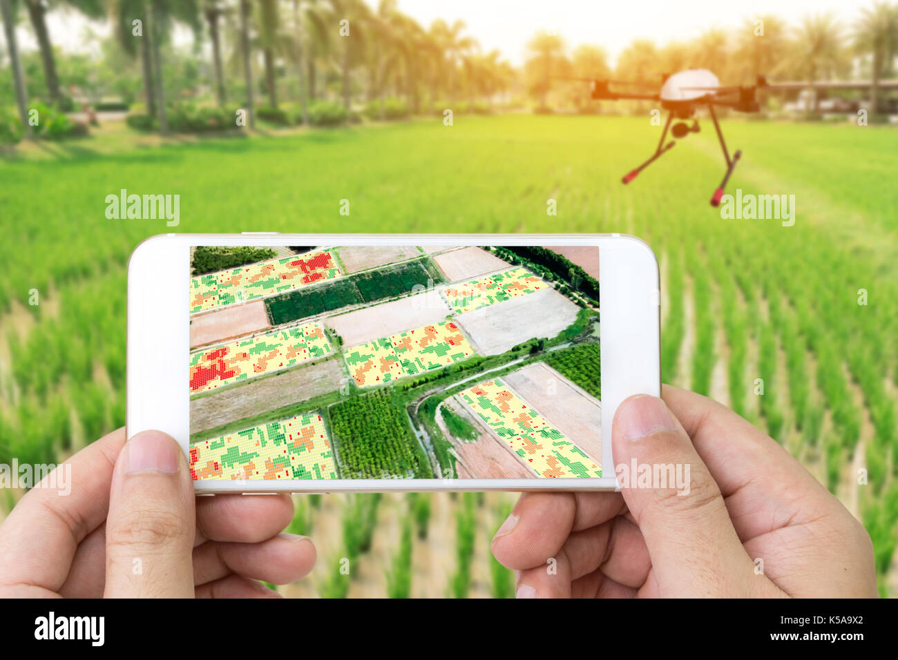 Smart Landwirtschaft Bauernhof Precision Farming Konzept Drone