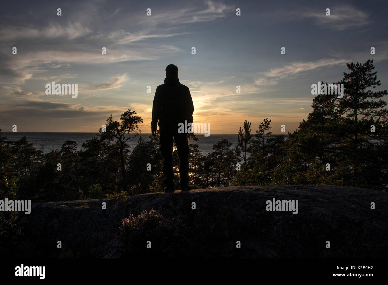 Mann im Wald wandern Stockfoto