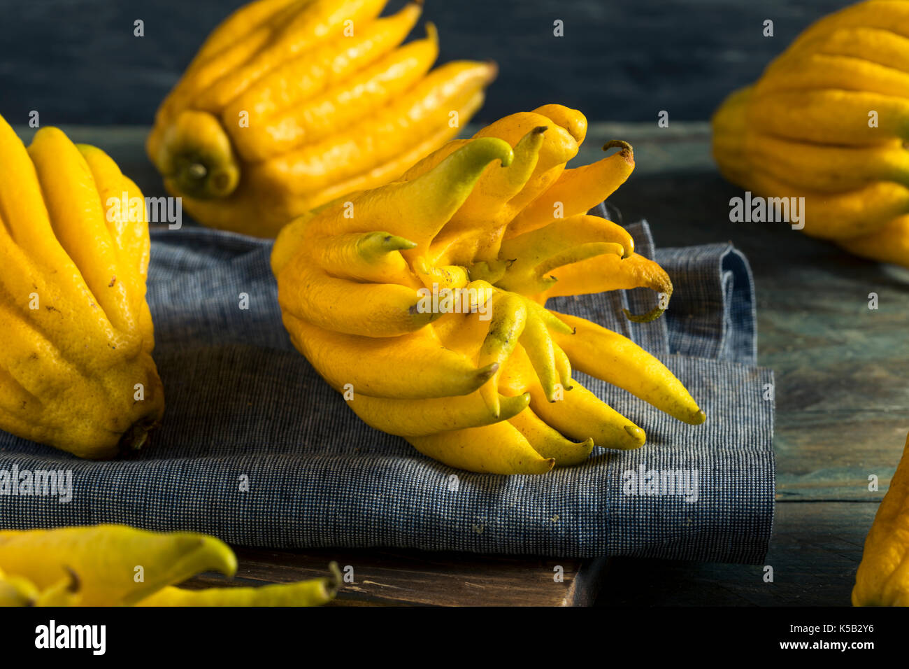 Gelbe organische Buddhas Hand Zitrusfrüchte mit den Fingern Stockfoto