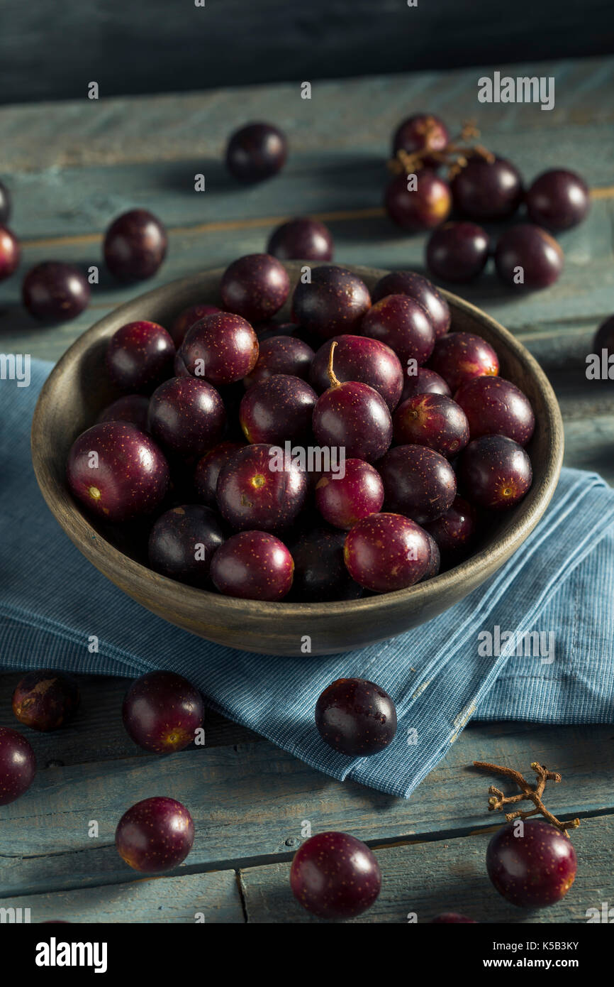 Hausgemachten süßen Muscadine Trauben in eine Schüssel geben. Stockfoto