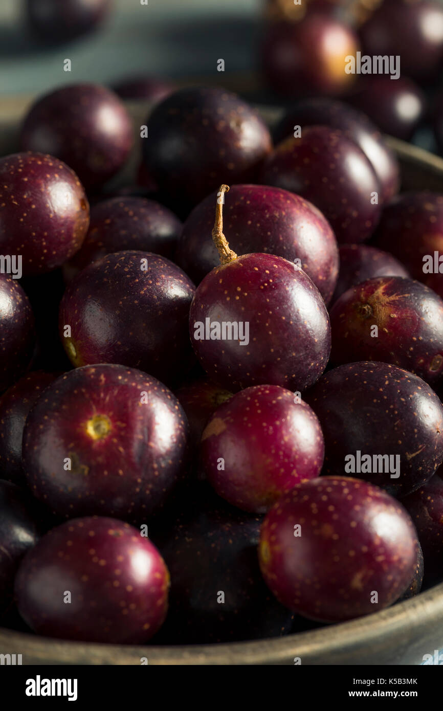 Hausgemachten süßen Muscadine Trauben in eine Schüssel geben. Stockfoto