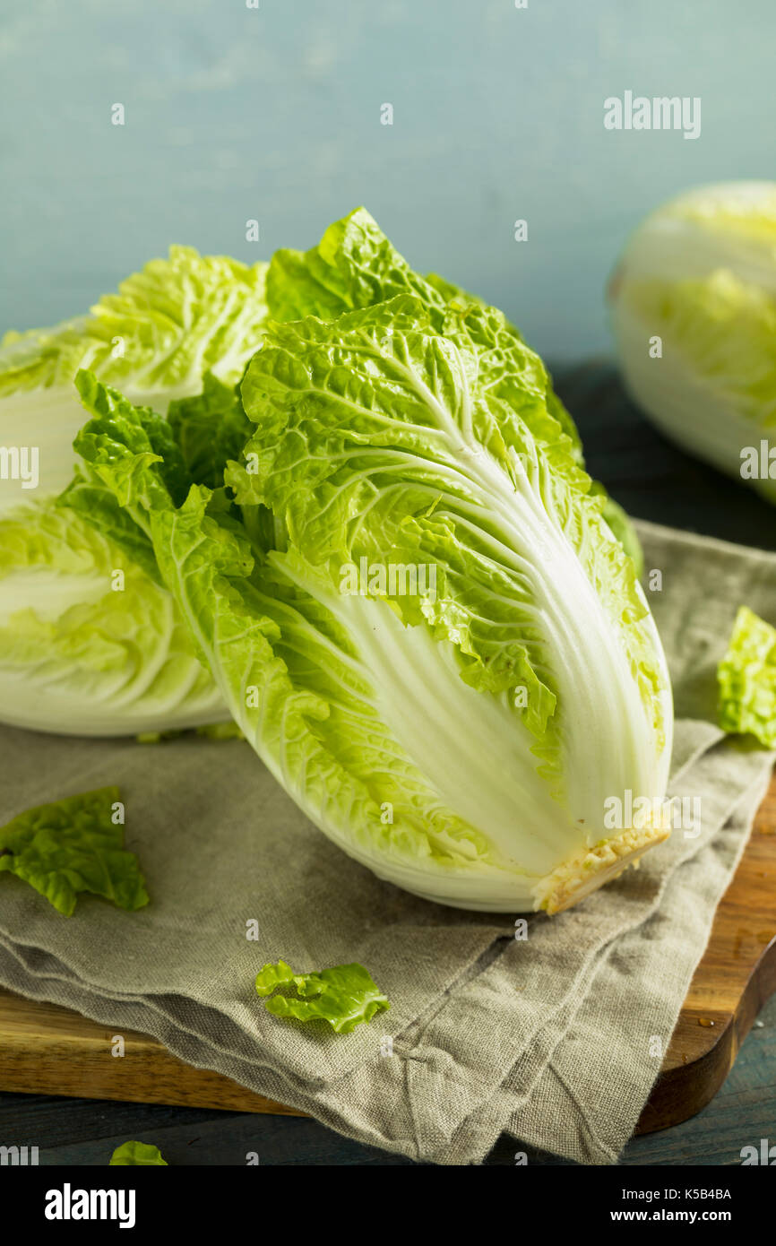 Raw Green Organic Napa Cabbage Einsatzbereit Stockfoto