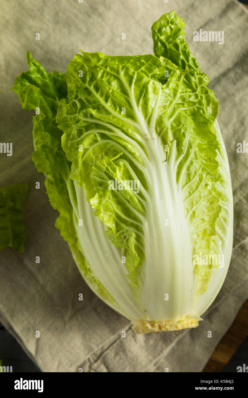 Raw Green Organic Napa Cabbage Einsatzbereit Stockfoto