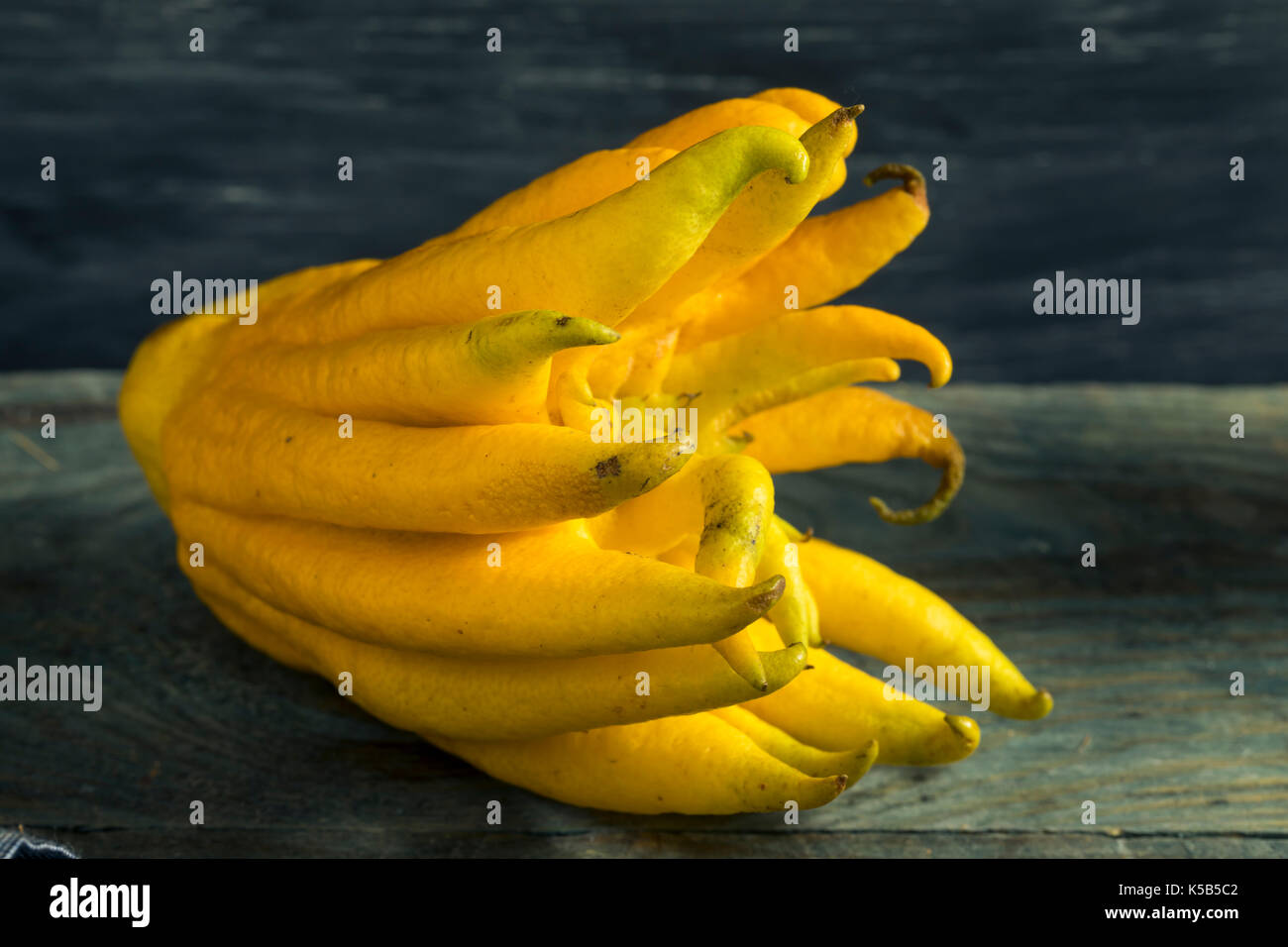 Gelbe organische Buddhas Hand Zitrusfrüchte mit den Fingern Stockfoto