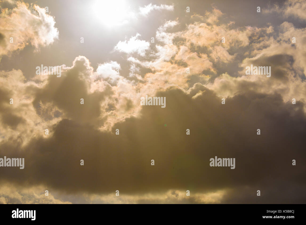 Licht Strahlen vom Himmel Stockfoto