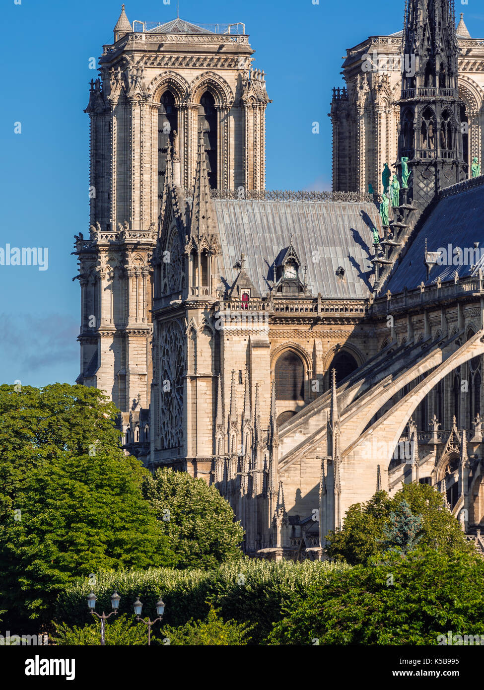 Close-up morgen Ausblick auf die Türme der Kathedrale Notre Dame de Paris. Ile de la Cite, 4. Arrondissement, Paris, Frankreich Stockfoto