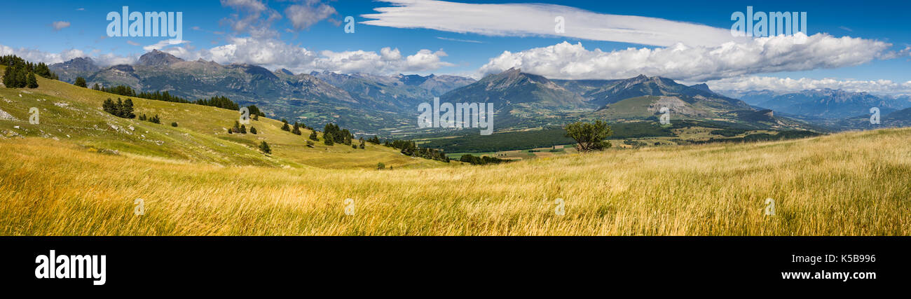 Panoramablick auf die Champsaur-tal im Sommer von Gleize Pass. Hautes-Alpes, Südliche französische Alpen, Region PACA, Frankreich Stockfoto