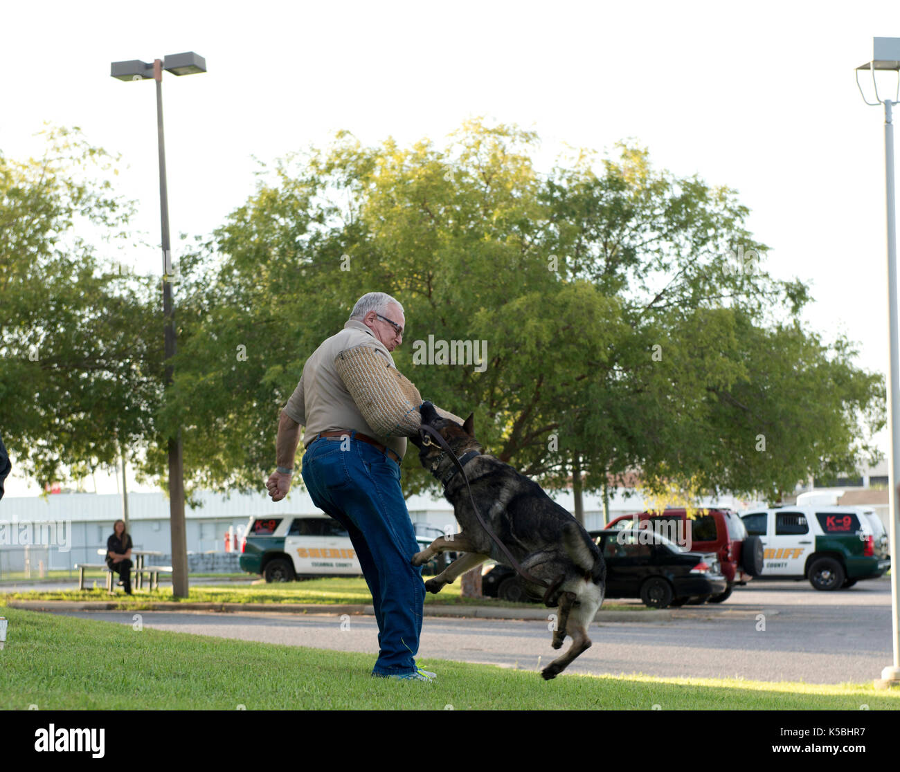 County Sheriff Florida Stockfotos Und Bilder Kaufen Alamy