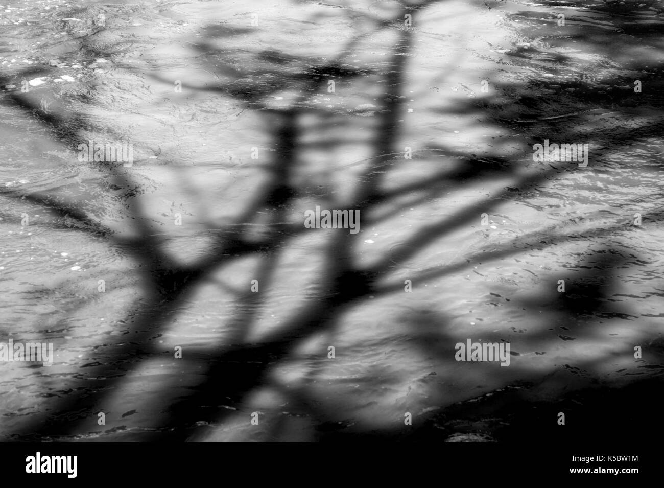 Schwarz-weiß-Ansicht von Baum Schatten auf den Arkansas River, der durch die Downtown Historic District von der kleinen Bergstadt Salida, Farbe läuft Stockfoto