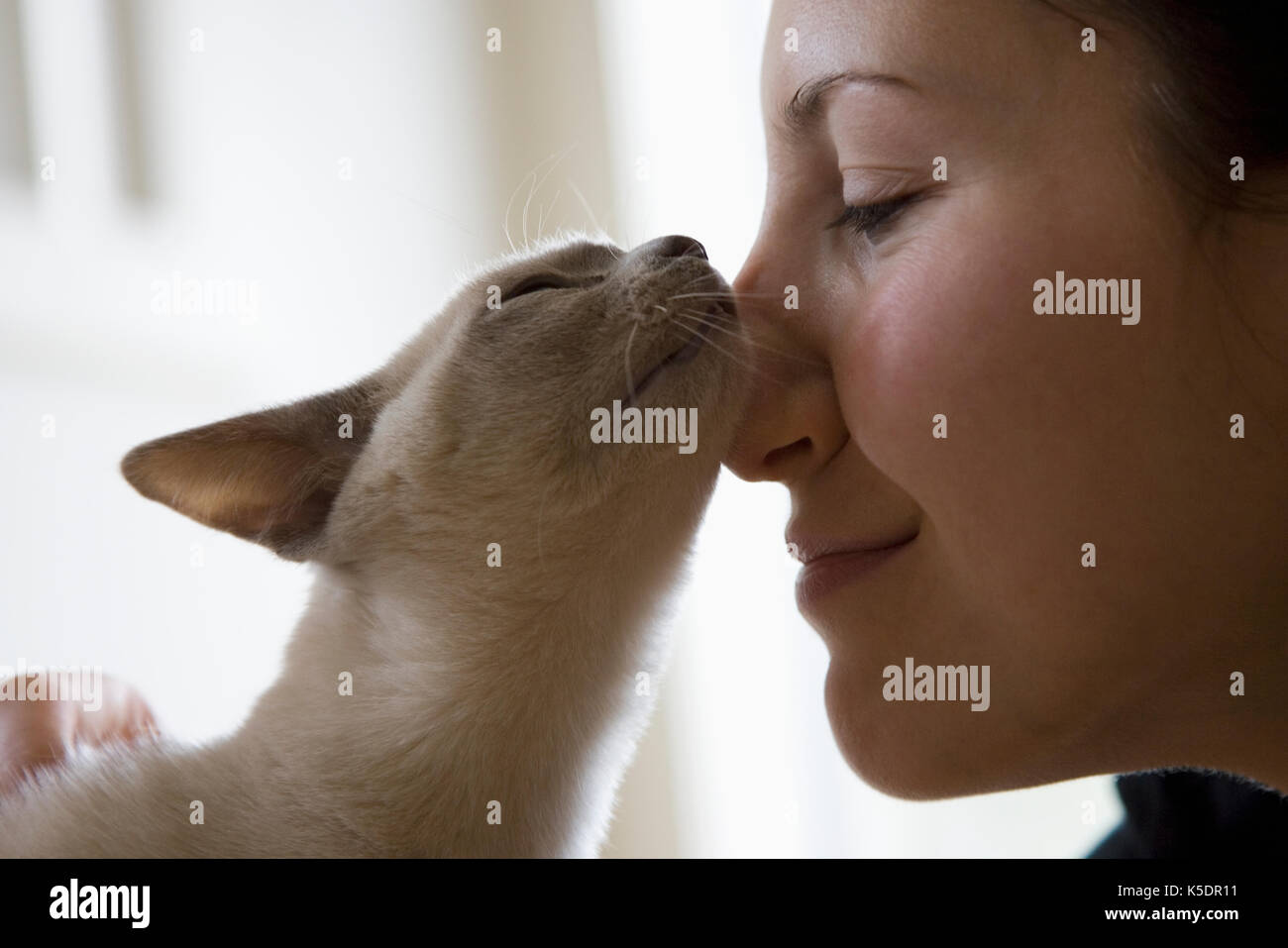 Junge Frau $cat Stockfoto