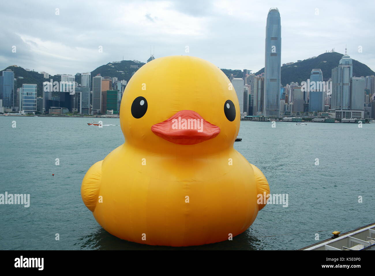 Ente mit Skyline im Victoria Harbour und Hong Kong Stockfoto
