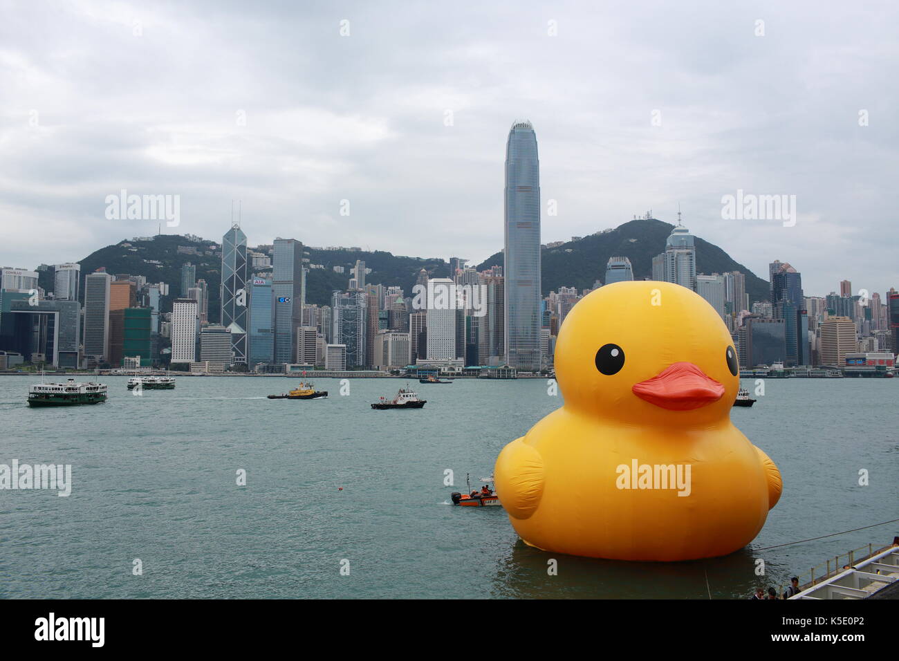 Ente mit Skyline im Victoria Harbour und Hong Kong Stockfoto