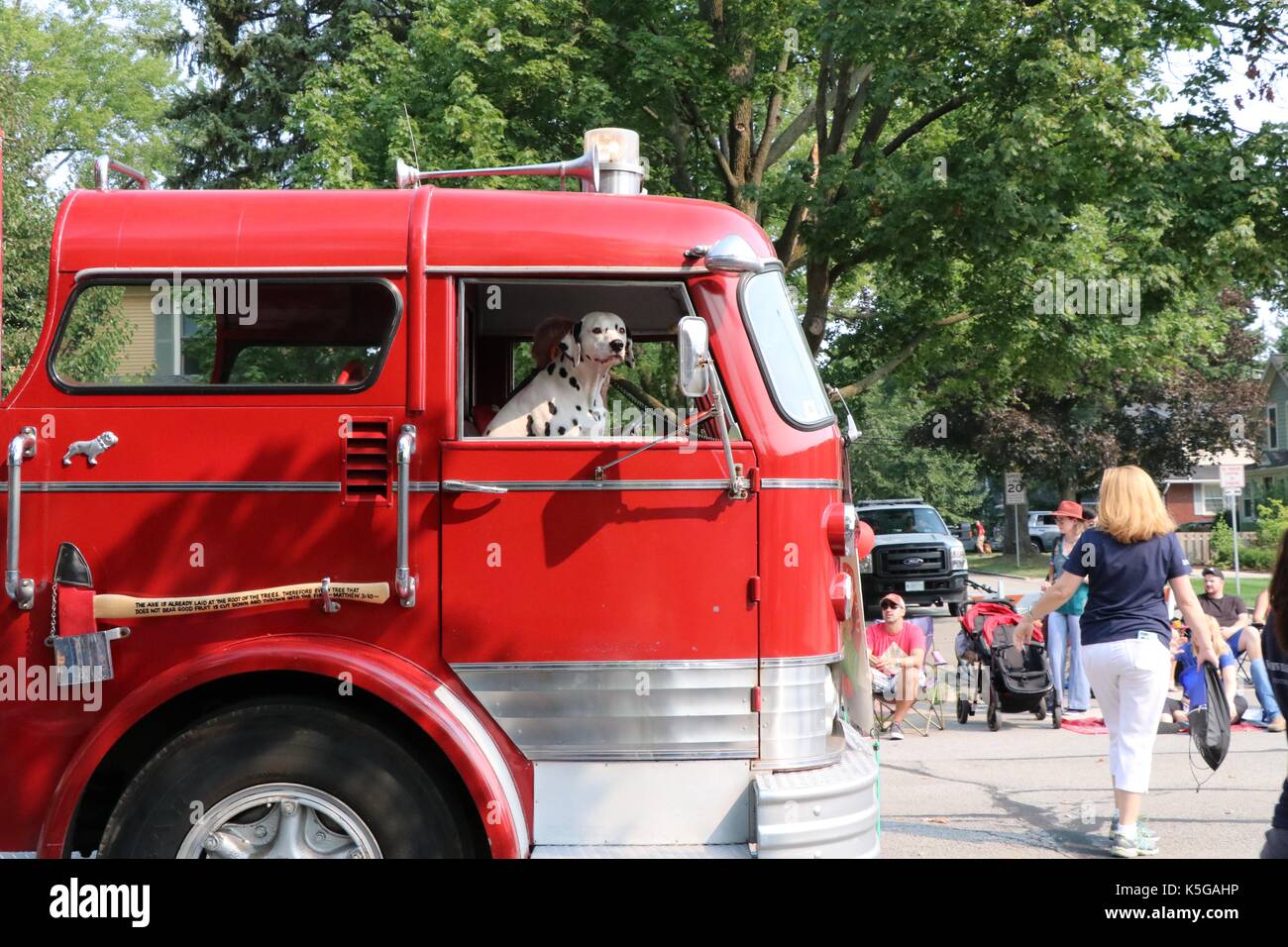 Firedog Stockfoto