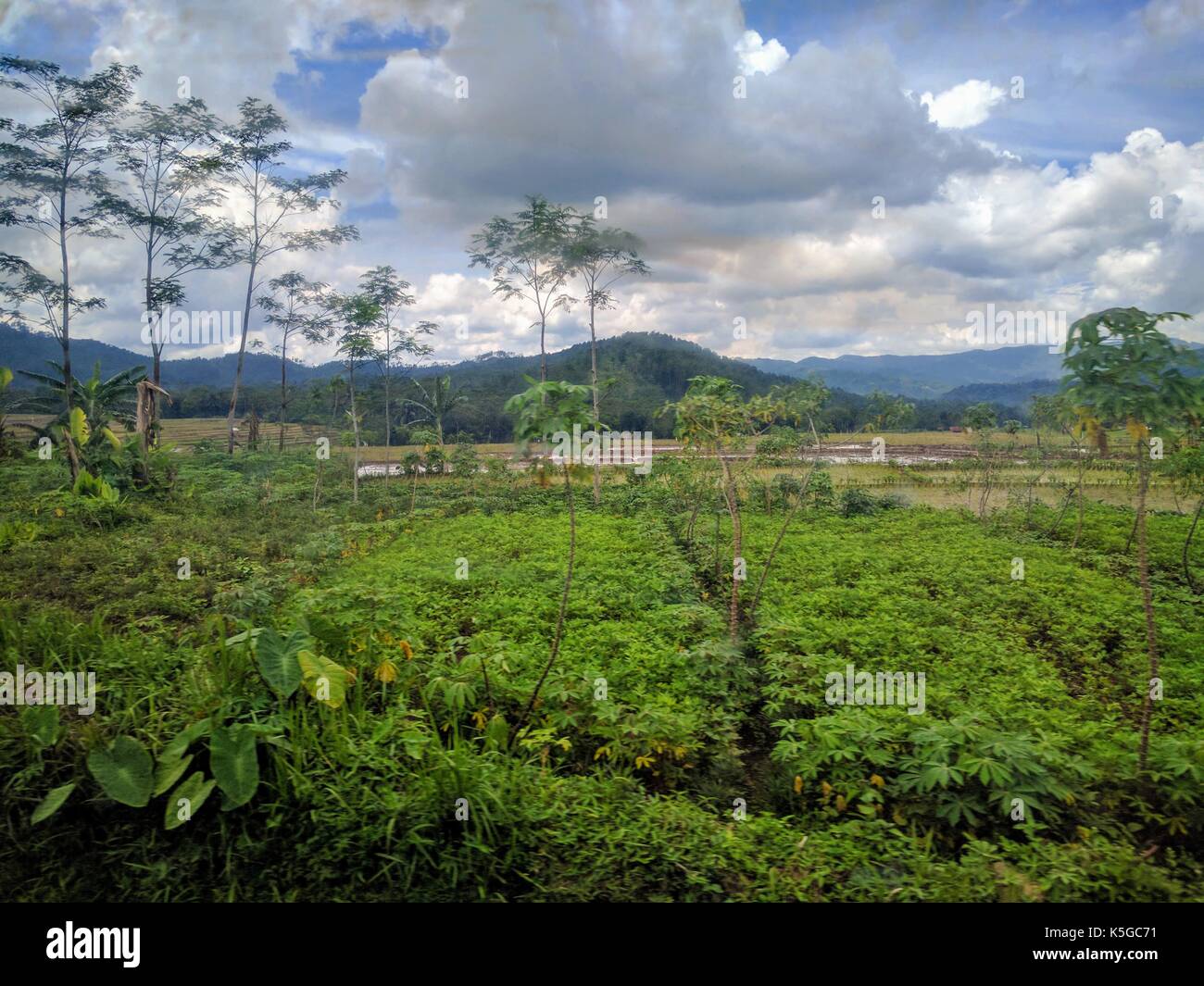 Blick auf eine Java Landschaft, Indonesien Stockfoto