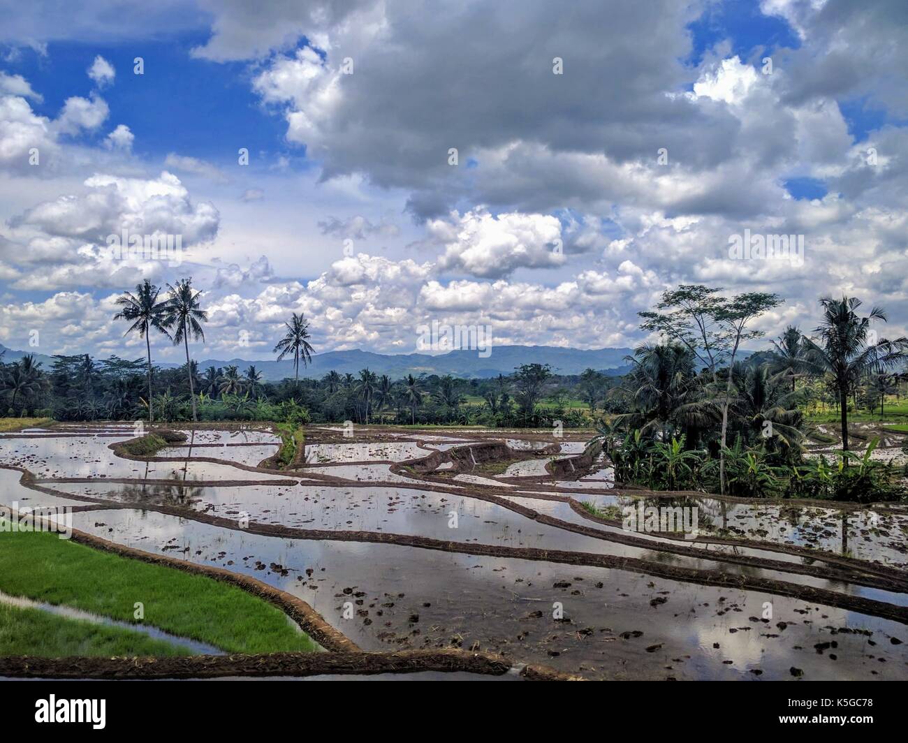 Blick auf eine Java Landschaft, Indonesien Stockfoto