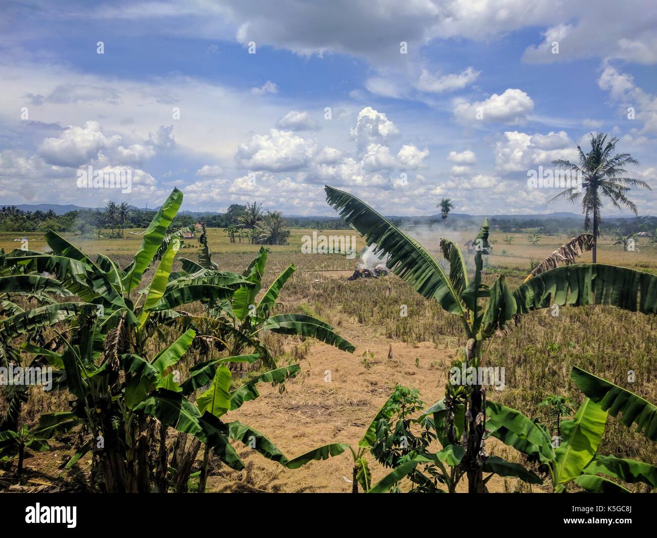Blick auf eine Java Landschaft, Indonesien Stockfoto