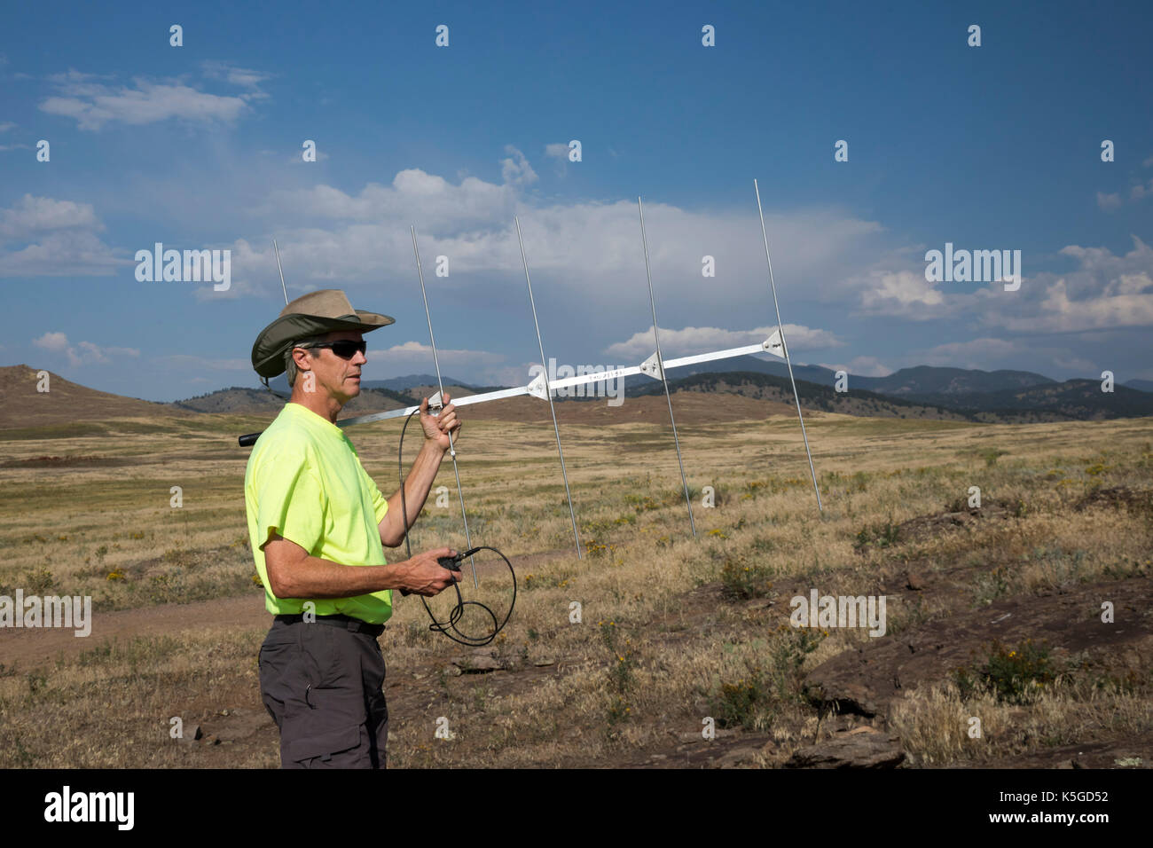 Golden, Colorado - ein Forscher für die Anpassung der ökologischen Dienstleistungen hält eine Antenne für Prairie Klapperschlangen (Crotalus viridis) im Norden zu suchen Stockfoto