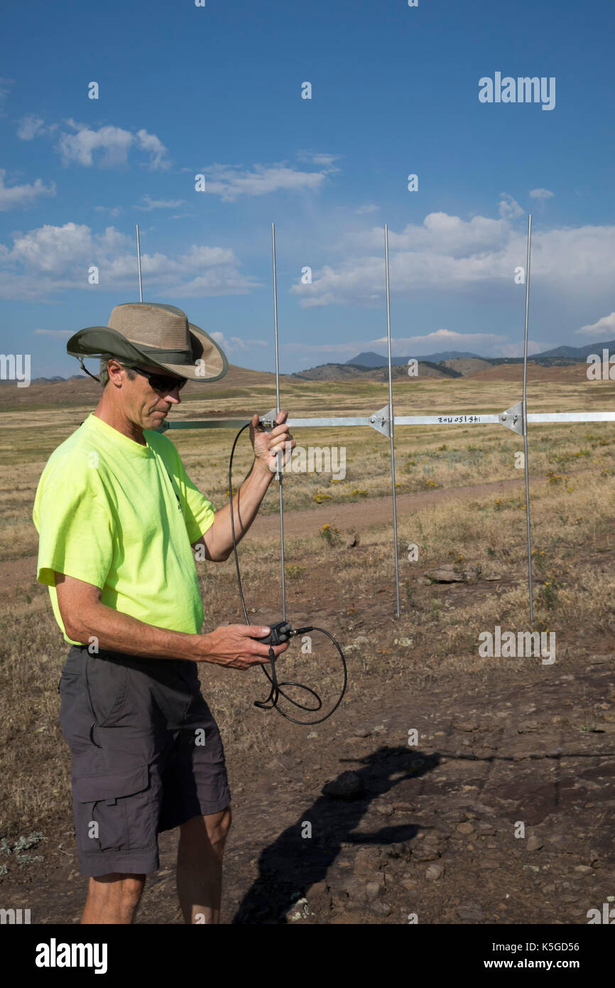 Golden, Colorado - ein Forscher für die Anpassung der ökologischen Dienstleistungen hält eine Antenne für Prairie Klapperschlangen (Crotalus viridis) im Norden zu suchen Stockfoto